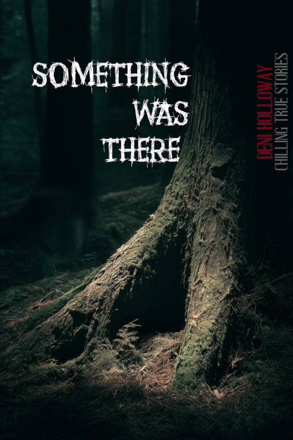 Cover of Something Was There